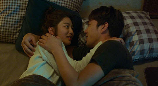 고양이 장례식 강인